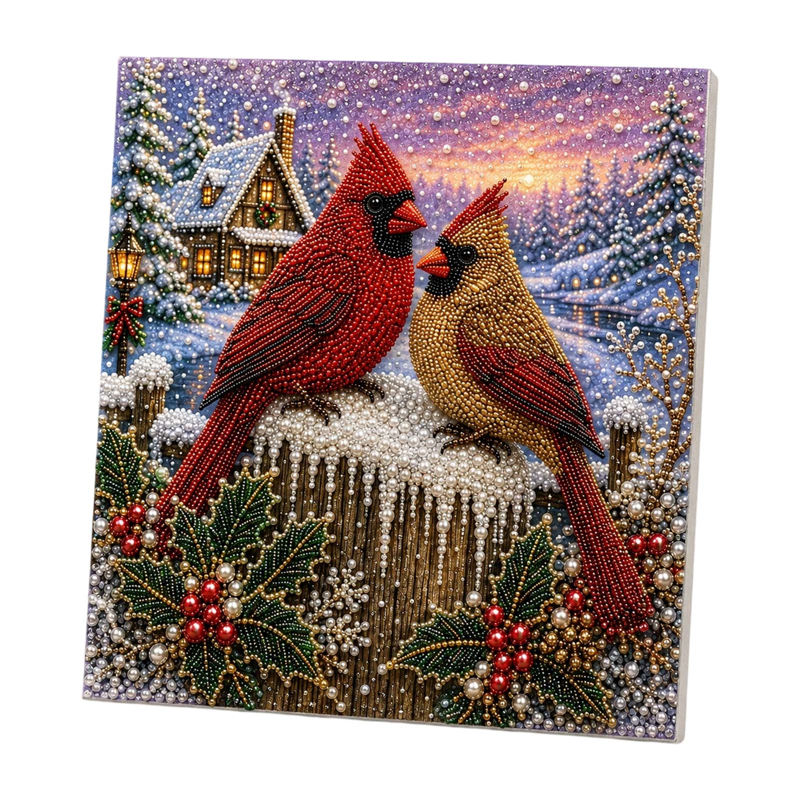 Christmas Pearl and Diamond Pa - Art Craft Earth Day recension och pris