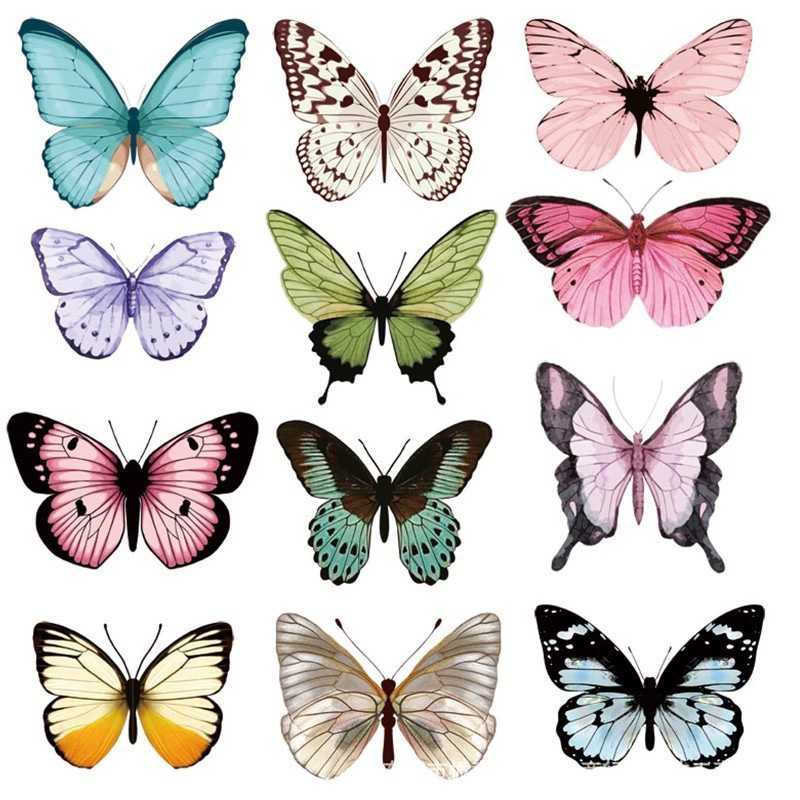 12pcs 3D Butterfly Wall Sticke - Art Craft Earth Day recension och pris